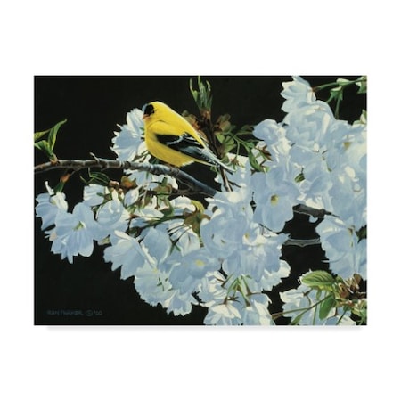 Ron Parker 'Goldfinch And Blossoms' Canvas Art,24x32